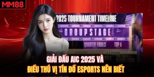 Giải Đấu AIC 2025 Và Điều Thú Vị Tín Đồ Esports Nên Biết